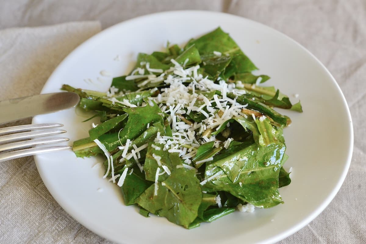 dandelion-salad-recipe